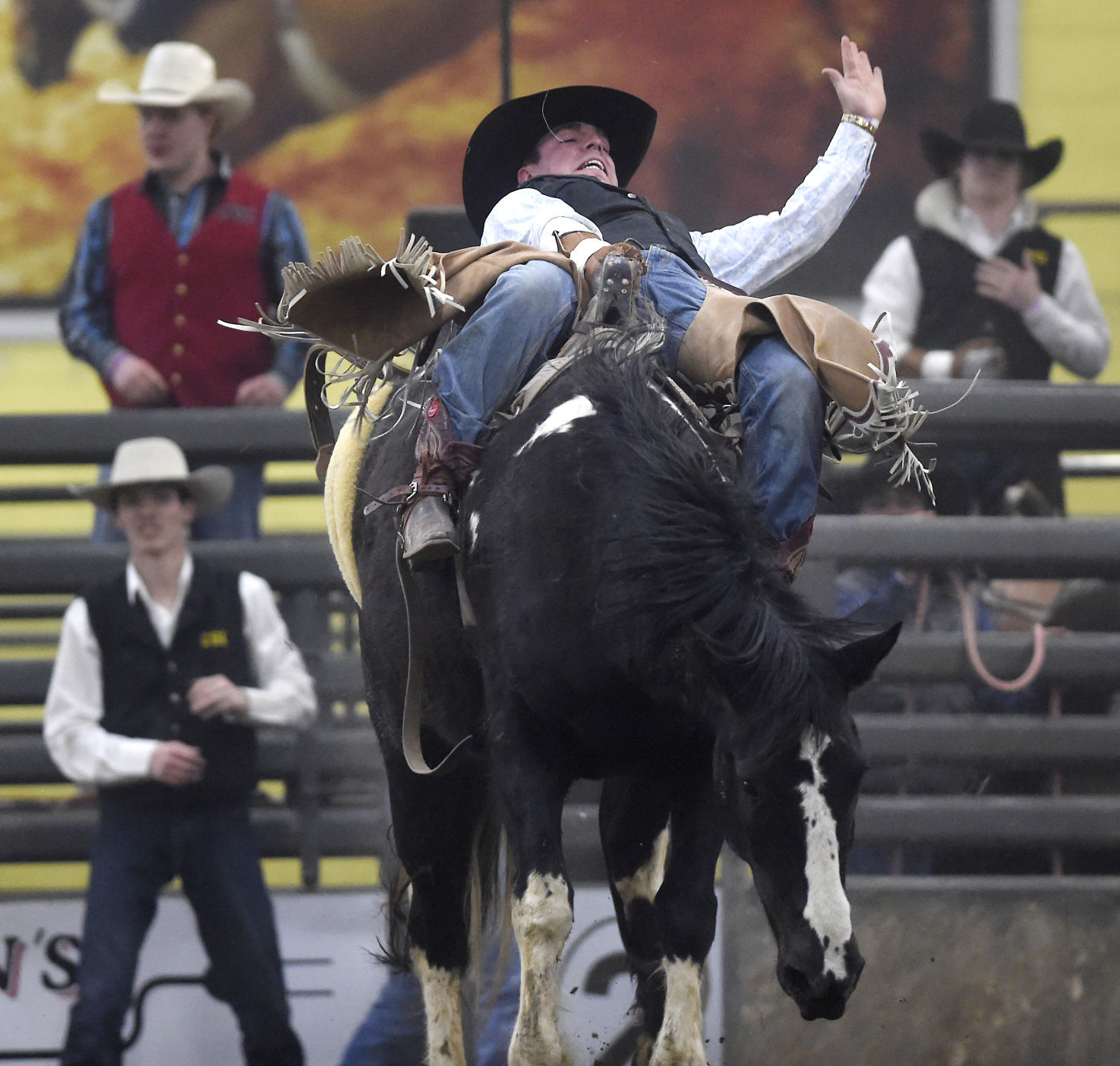 CSI Rodeo, 2018